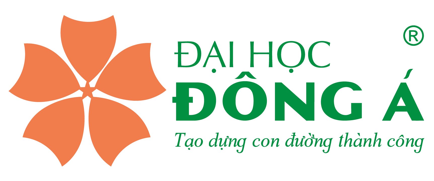 DONGA